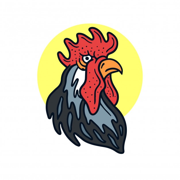 626x626 Fighting Rooster Vectors, Photos And Free Download