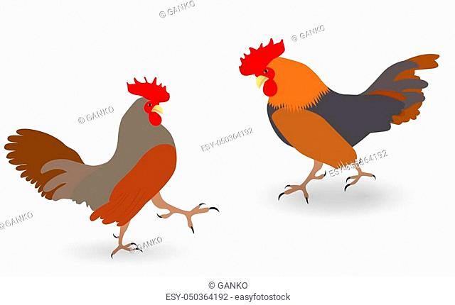 640x430 Illustration Fighting Cock Cockerel Stock Photos And Images Age