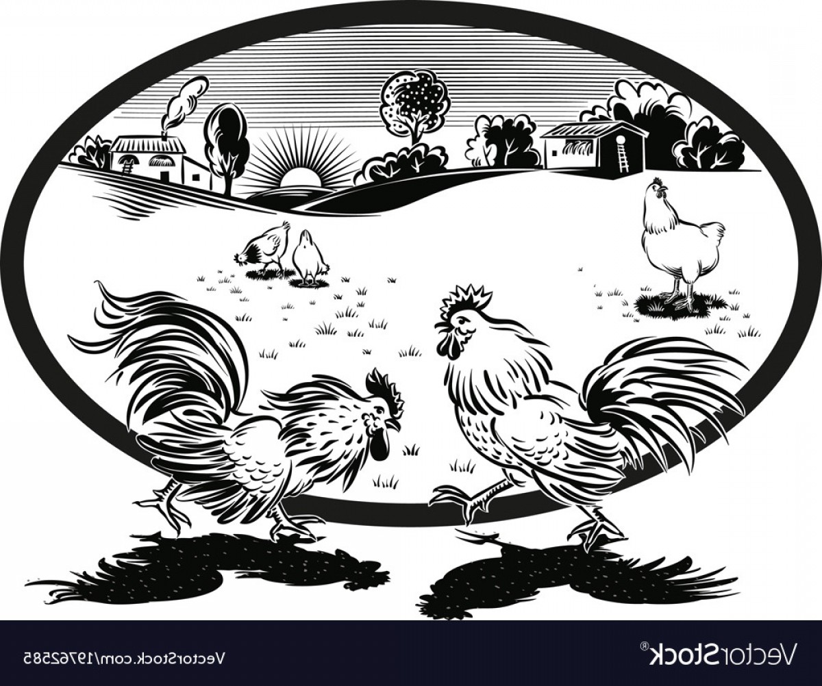 1200x1002 Oval Frame With Hens And Two Roosters Fighting Vector Geekchicpro