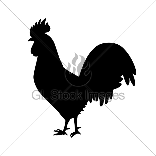 500x500 Rooster Fight Vector Color Illustration Background Gl Stock Images