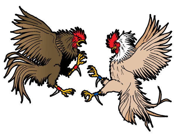Download Fighting Rooster Vector at Vectorified.com | Collection of ...