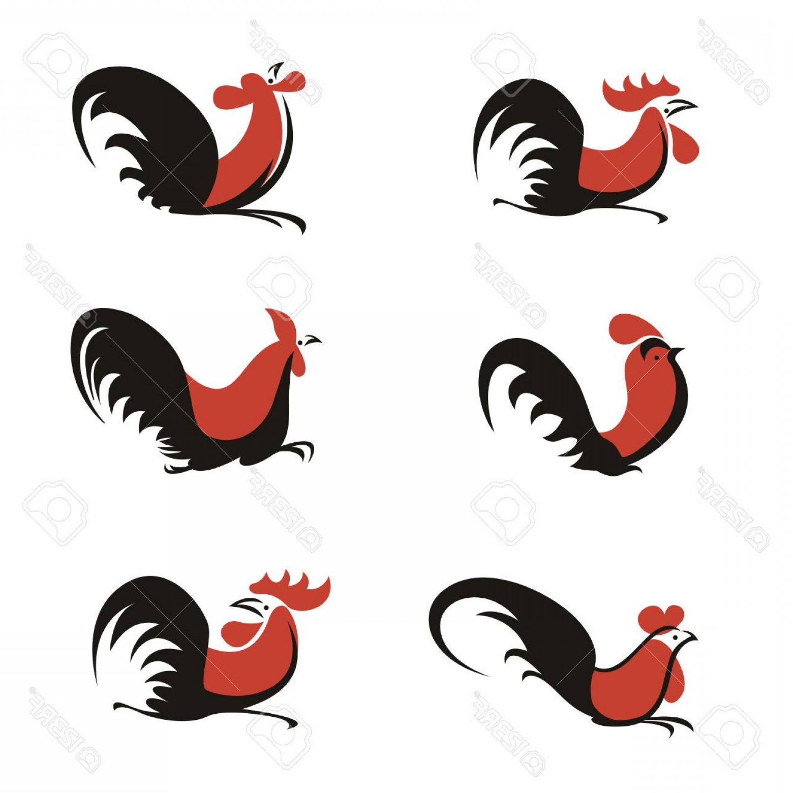 Fighting Rooster Vector at Vectorified.com | Collection of Fighting ...