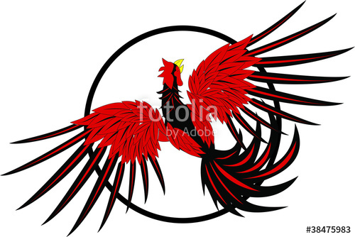 500x334 Red Rooster Fight Stock Image And Royalty Free Vector