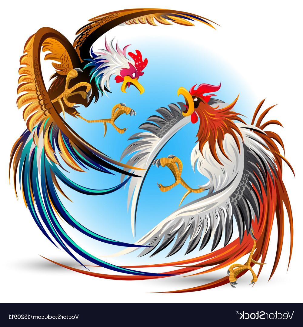 Fighting Rooster Vector At Collection Of Fighting Rooster Vector Free For 1624