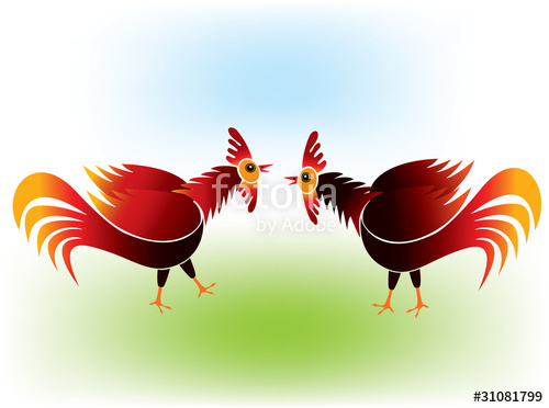 500x372 Cock Fighting Stock Image And Royalty Free Vector