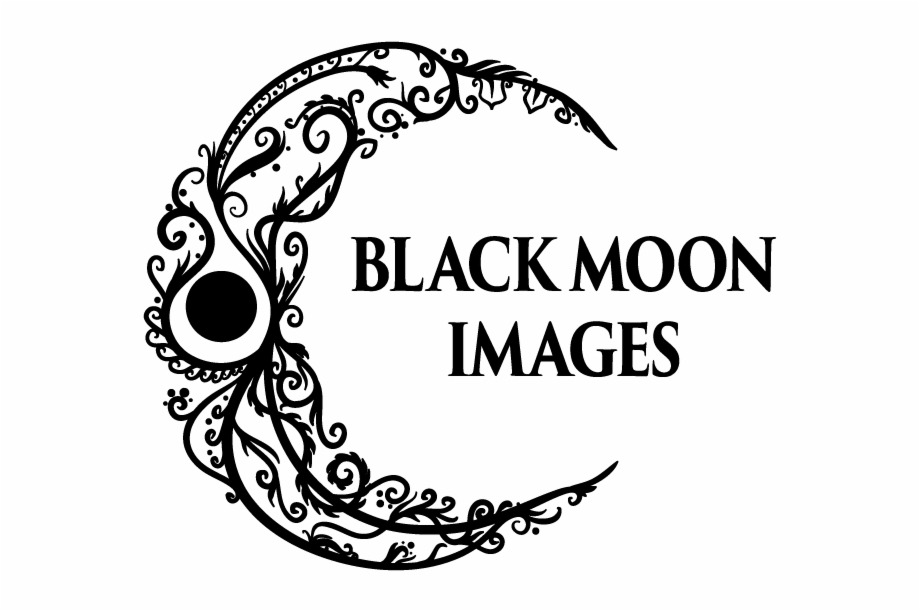 920x611 Black Moon Images Logo Illustration Vector Filigree