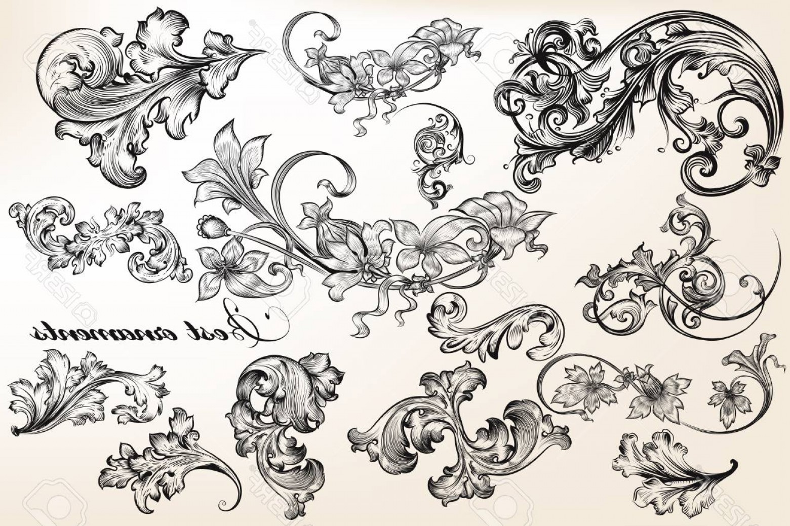 1560x1039 Photostock Vector A Collection Or Set Of Beautiful Vector