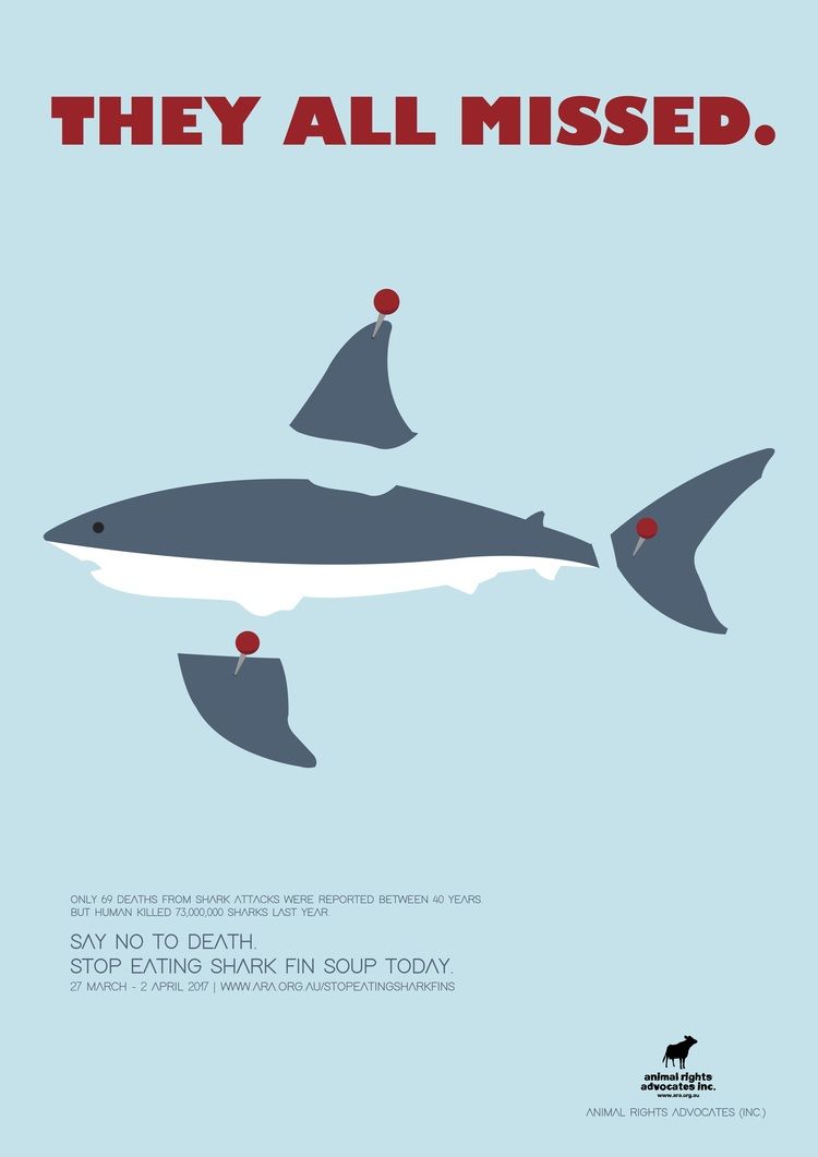 Pin On Fin 750x1061 Pin On Fin