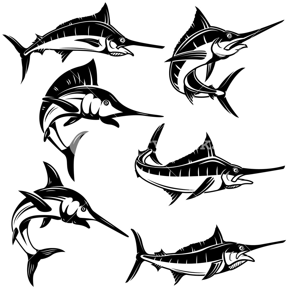 Set Of Marlin, Swordfish Illustrations Design Element For Logo 1000x1000 Set Of Marlin, Swordfish Illustrations Design Element For Logo