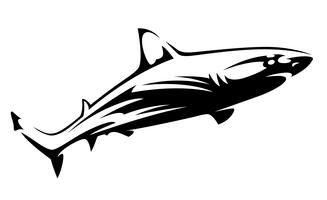 Shark Fin Silhouette Vectors 327x200 Shark Fin Silhouette Vectors
