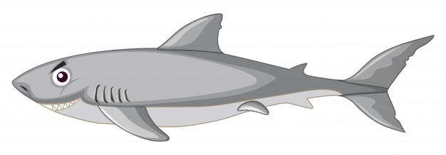 Shark Fin Vectors, Photos And Free Download 626x218 Shark Fin Vectors, Photos And Free Download