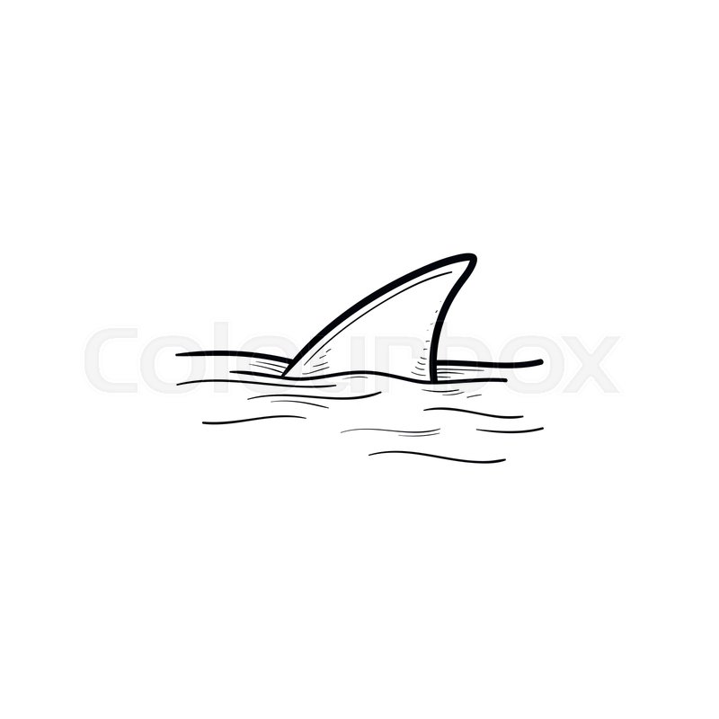 Shark Fin Over Water Hand Drawn Stock Vector Colourbox 800x800 Shark Fin Over Water Hand Drawn Stock Vector Colourbox
