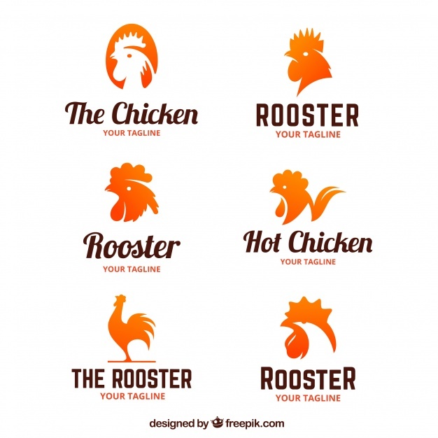626x626 Chicken Vectors, Photos And Free Download