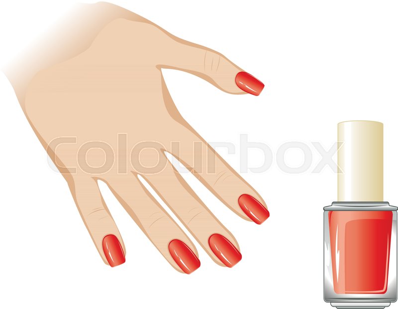 Female Fingers With Long Nails Dyed Stock Vector Colourbox 800x621 Female Fingers With Long Nails Dyed Stock Vector Colourbox