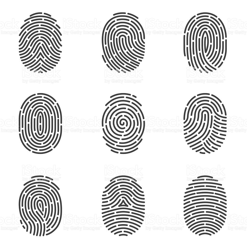 1024x1024 Nine Grey Fingerprint Types Detailed Vector Set