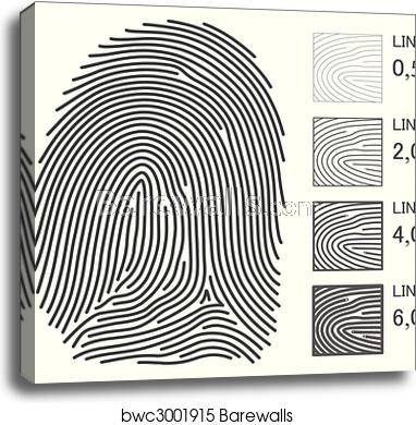 382x390 Fingerprint Vector Lines, Canvas Print Barewalls Posters