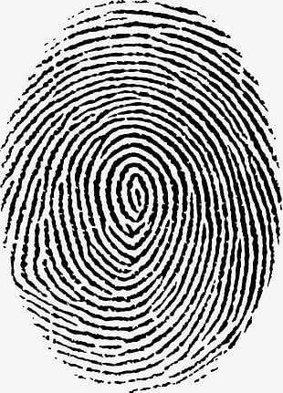 310x431 Fingerprint Vector Png Images, Fingerprint Vector Clipart Free