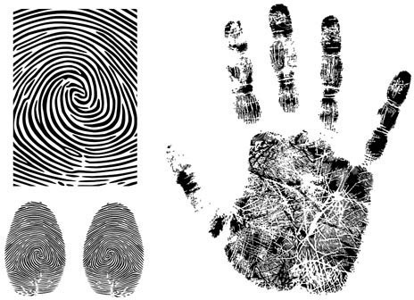 464x336 Fingerprint Free Vector Download