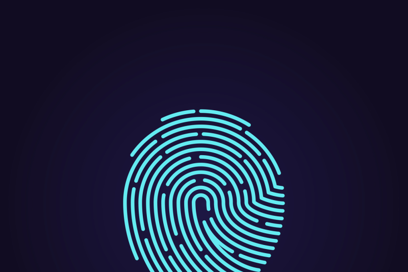 800x533 Id App Fingerprint Vector Icon