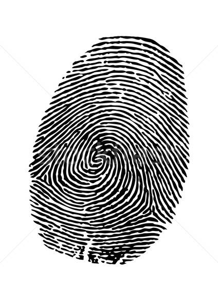 424x600 Vector Fingerprint Vector Illustration Ljiljana Petriska
