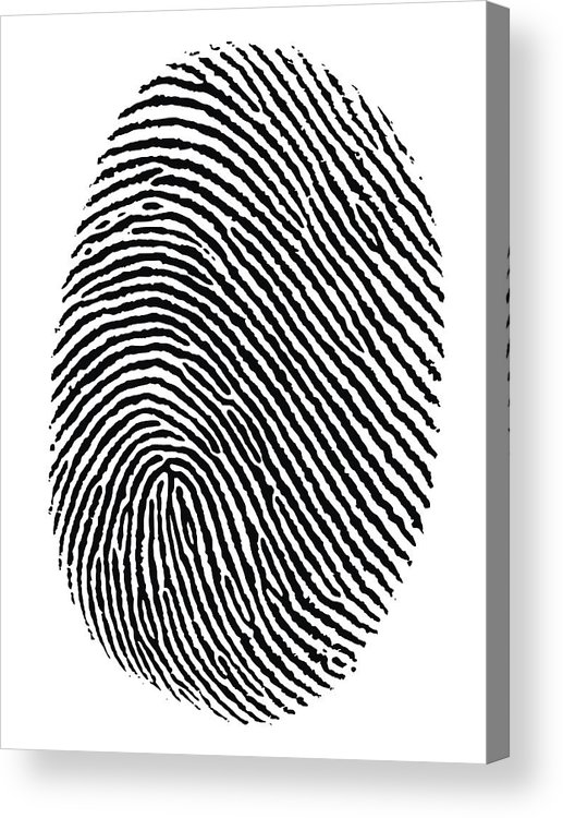 517x750 Fingerprint Vector Acrylic Print
