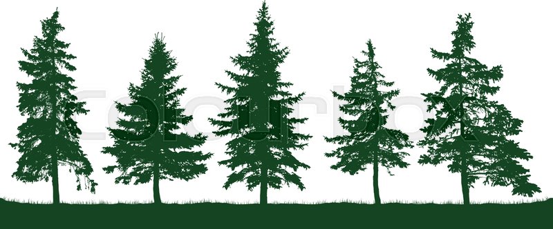 800x332 Forest Fir Trees Silhouette Christmas Stock Vector Colourbox