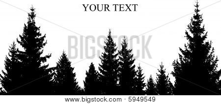 450x215 Pine Tree Forest Silhouette Vector