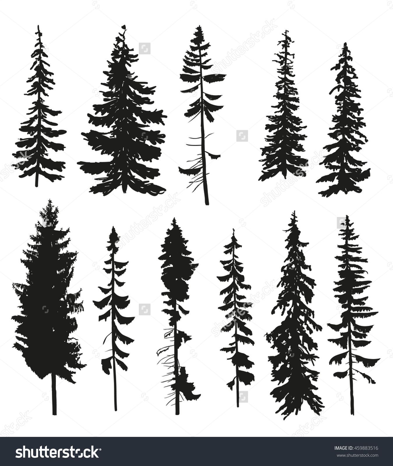 1350x1600 Vector Silhouettes Of Different Pine Trees