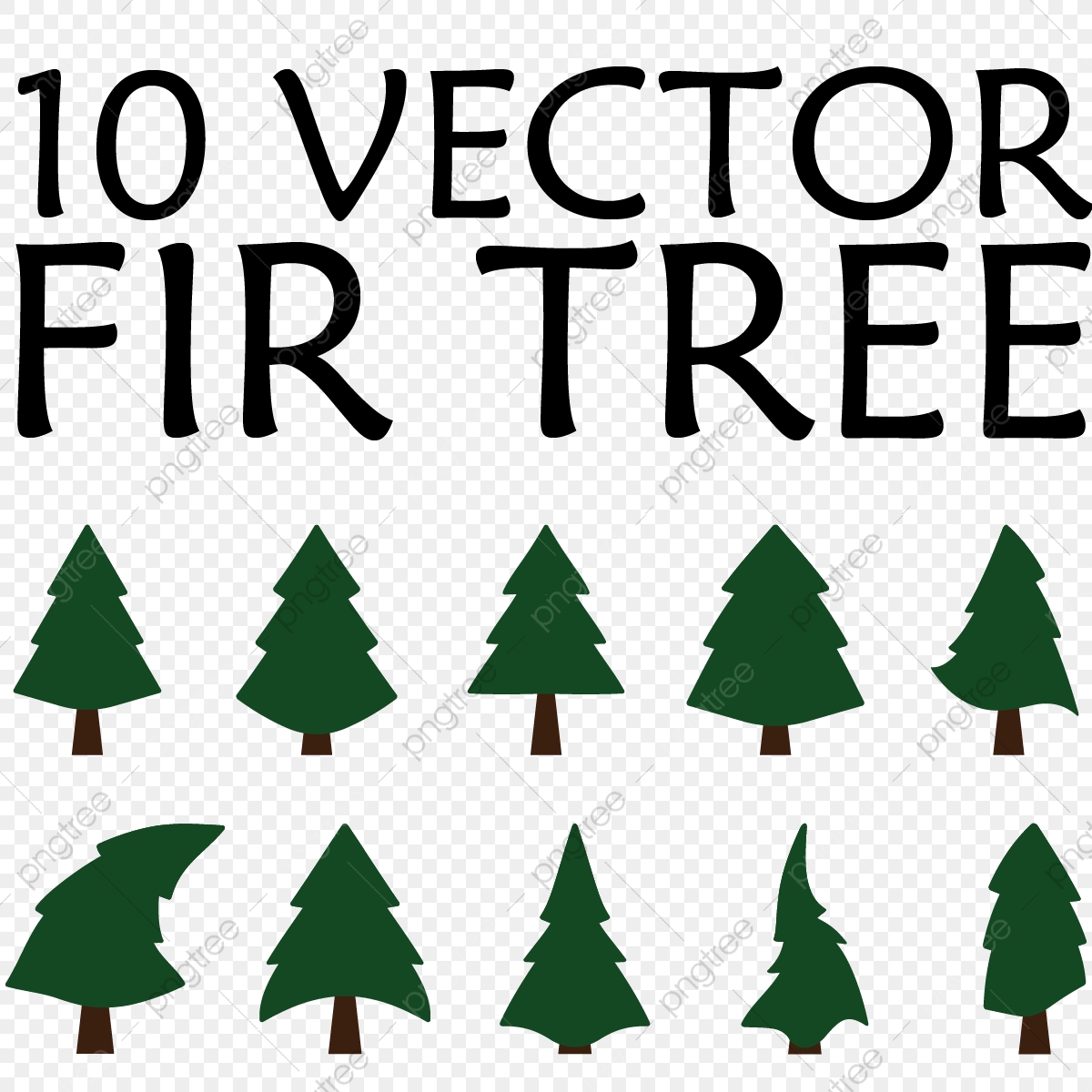 Fir Tree Vector