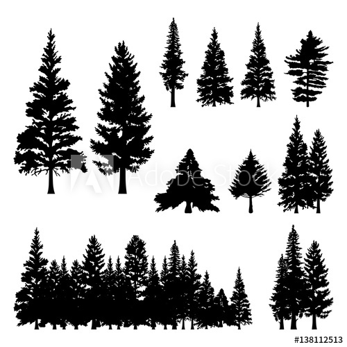 500x500 Huge Collection Of 'pine Tree Vector Silhouette' Download More