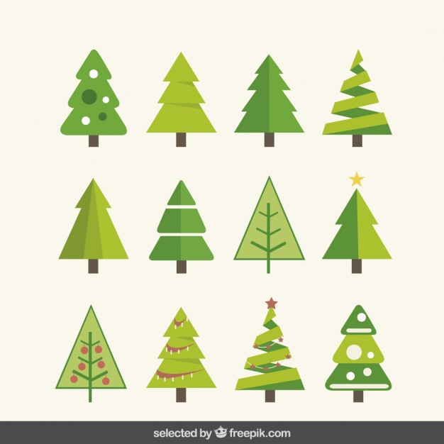 626x626 Kinds Of Fir Tree Collection Vector Free Download
