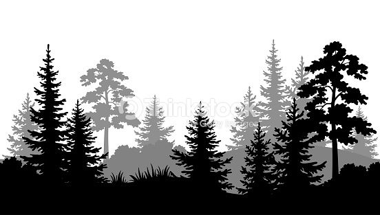552x313 Seamless Horizontal Summer Forest With Pine, Fir Tree, Grass
