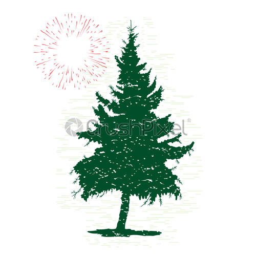 500x500 Silhouettes Of Green Pine Tree, Vector Illustration Vintage