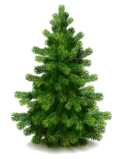 500x647 Christmas Green Fir Tree Vector Material Free Download