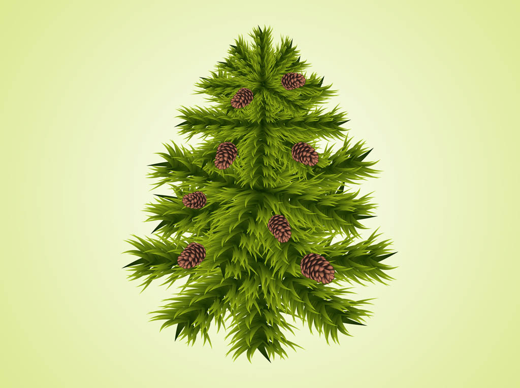 1024x765 Fir Tree Vector Vector Art Graphics