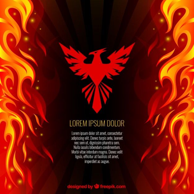 626x626 Phoenix And Fire Background Free Vector Projects To Try