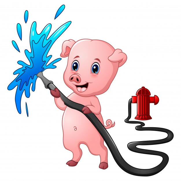 626x626 Cartoon Pig With Hose Spraying Water And Fire Hydrant Vector
