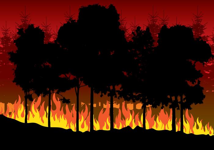 700x490 Forest Fires Illustration