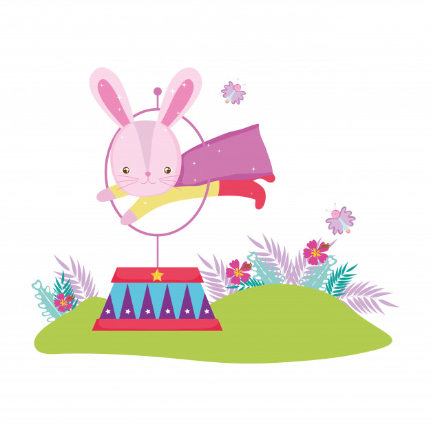626x626 Cute Circus Rabbit Jumping Fire Ring Vector Premium Download