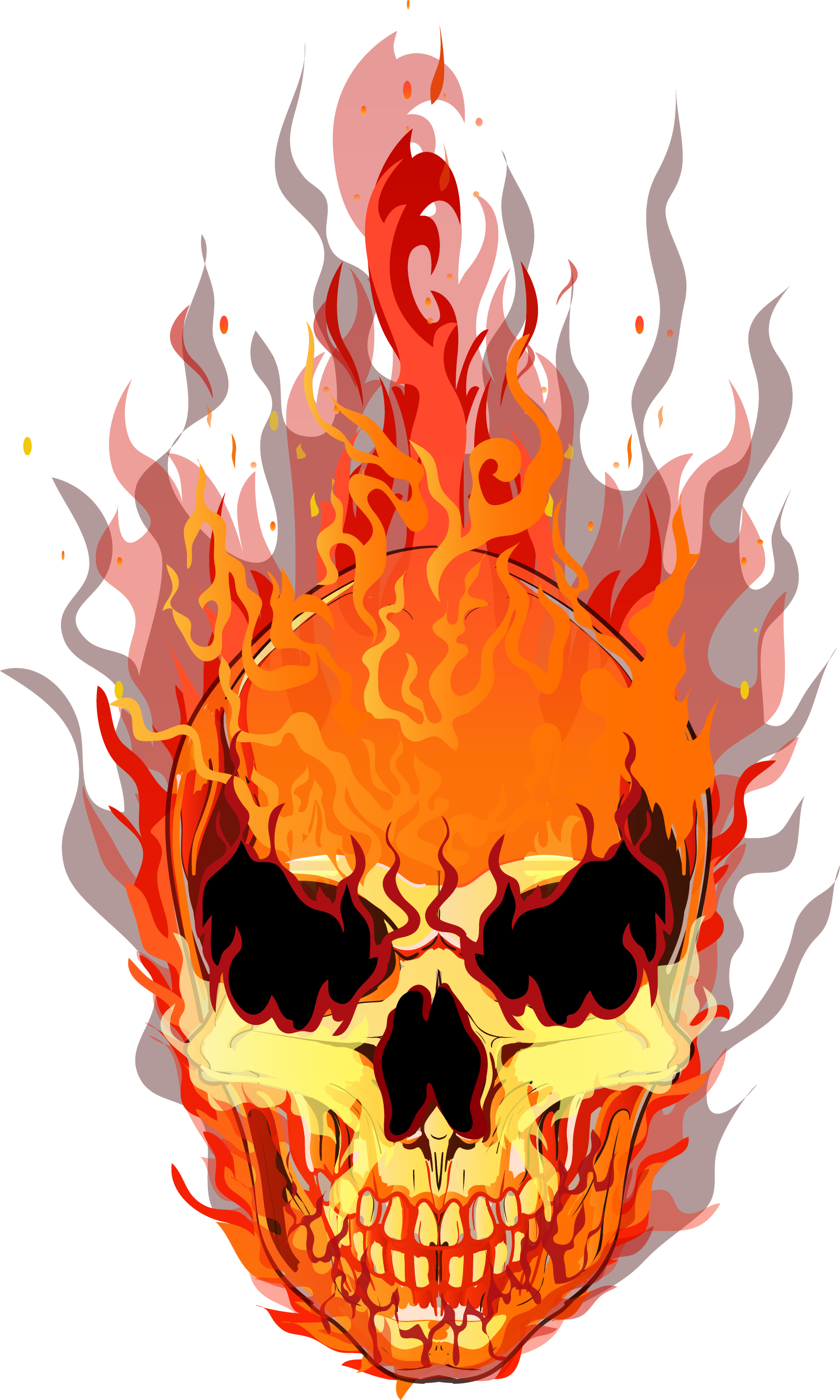 Download T Shirt Fire Vector Flame Skull Free Clipart Hq Clipart 1596x2658 Download T Shirt Fire Vector Flame Skull Free Clipart Hq Clipart