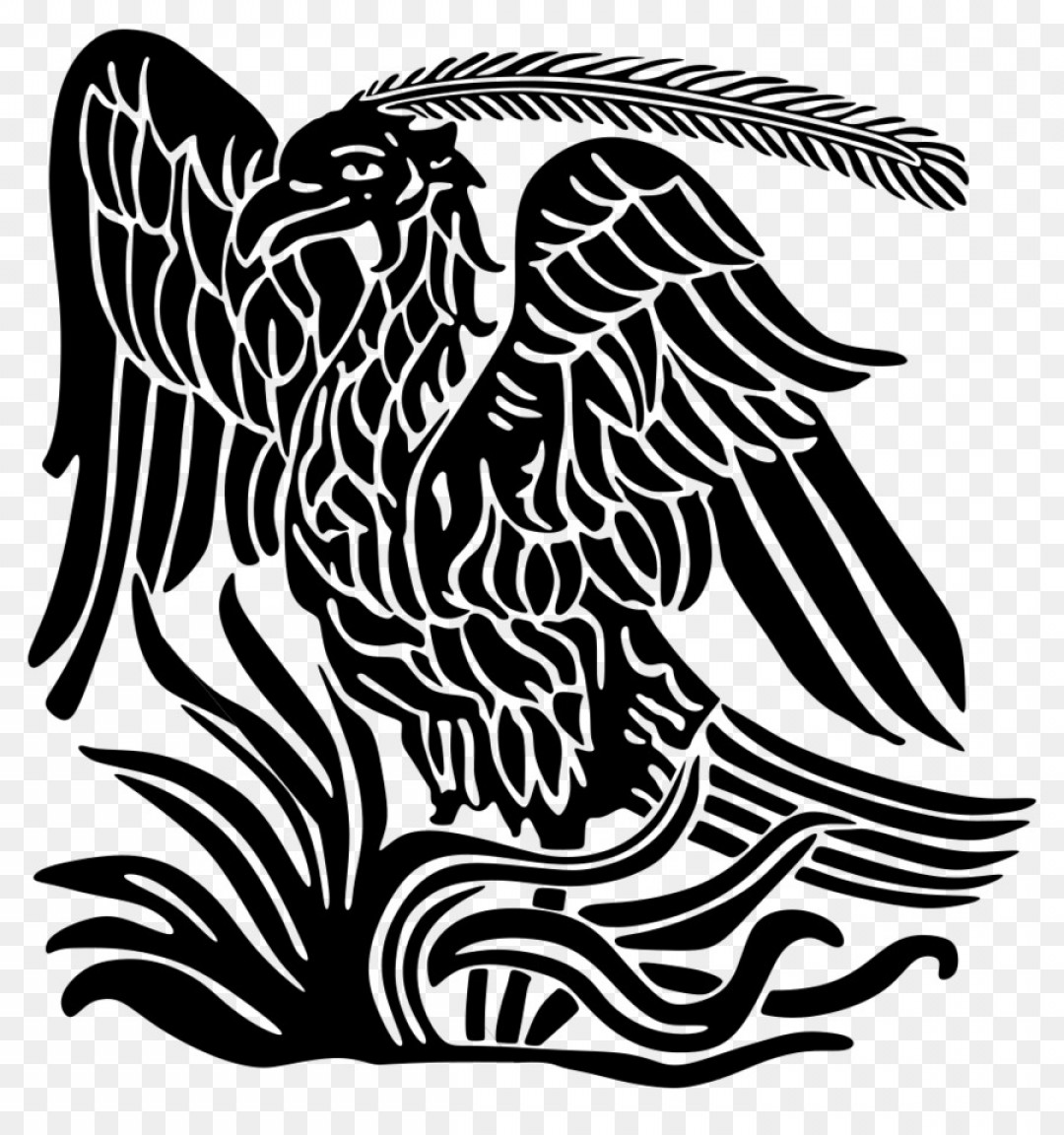 Png Bird Phoenix Clip Art Phoenix Vector Createmepink 1080x1152 Png Bird Phoenix Clip Art Phoenix Vector Createmepink