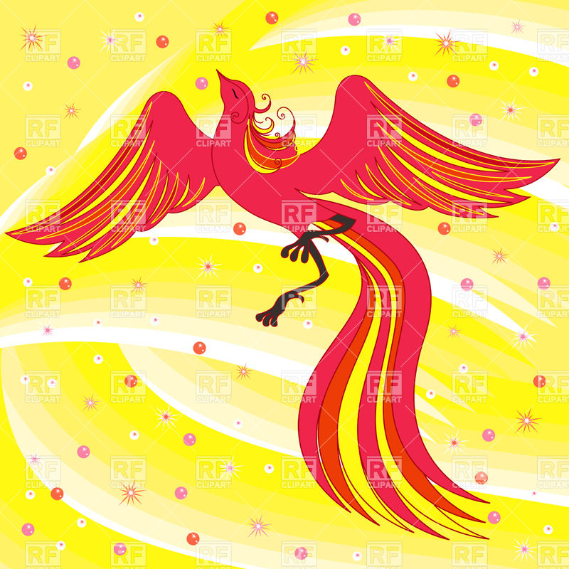 Fairy Firebird On Bright Backdrop Vector Image Of Plants 800x800 Fairy Firebird On Bright Backdrop Vector Image Of Plants