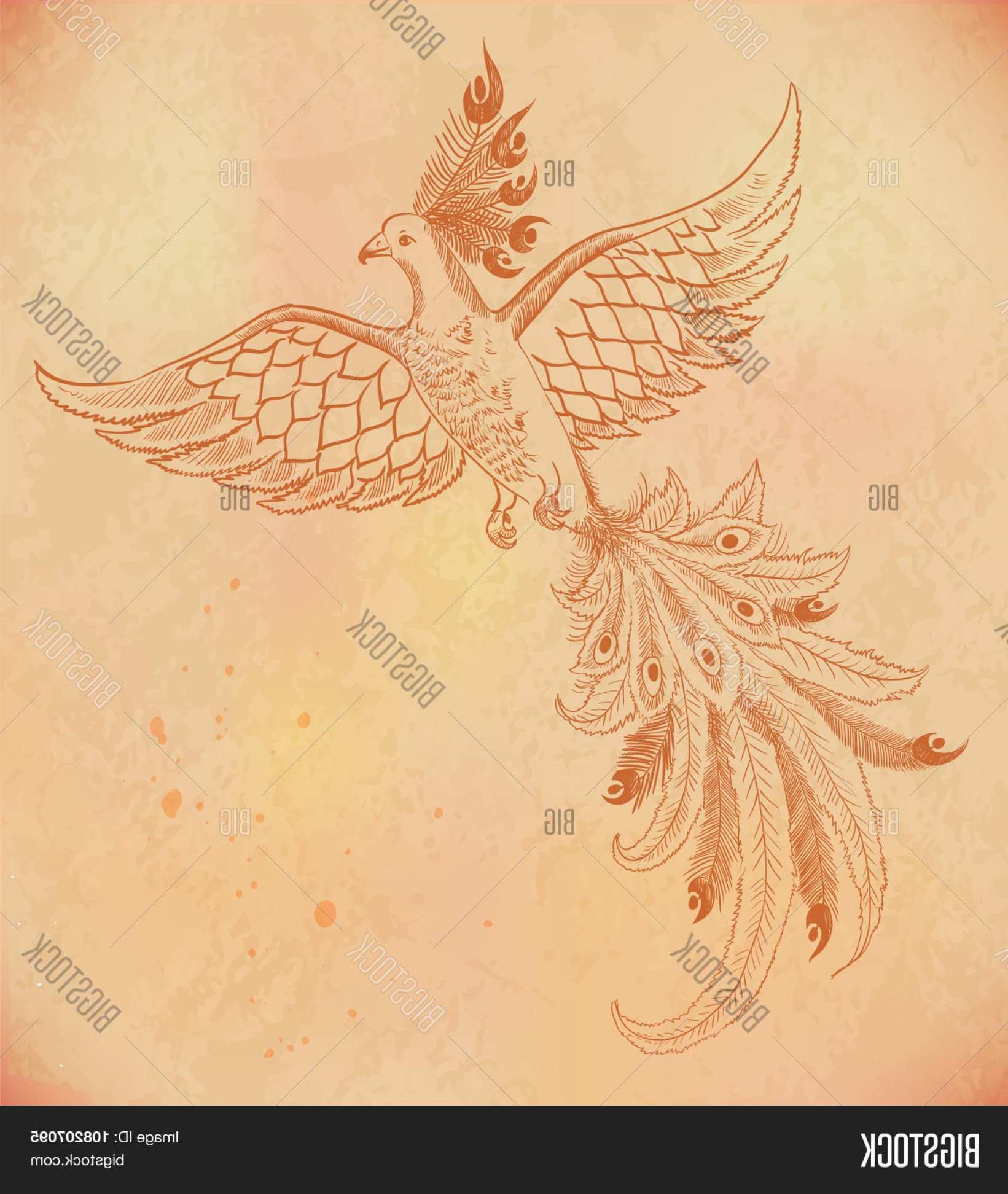 Stock Vector Vector Firebird Hand Drawn Illustration On Old Paperc 1641x1944 Stock Vector Vector Firebird Hand Drawn Illustration On Old Paperc