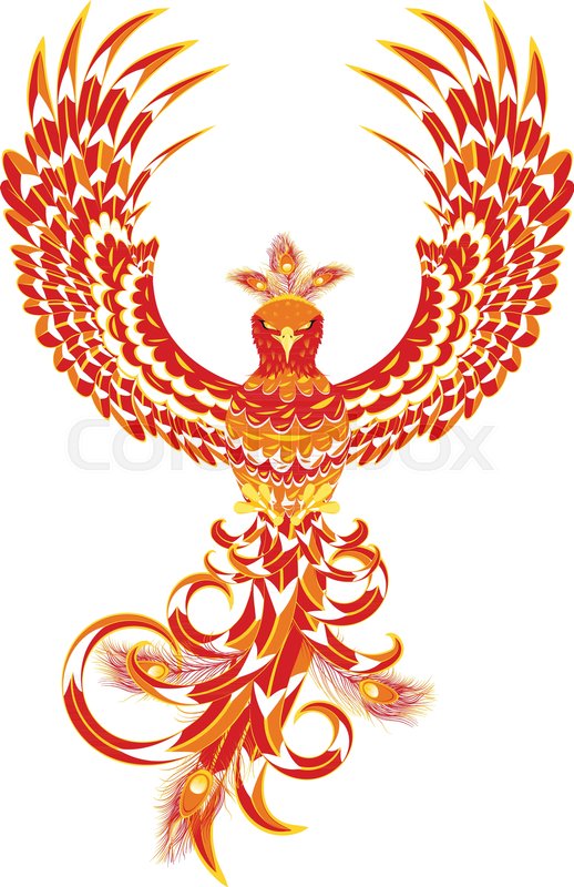 Stylized Firebird, Fantasy Phoenix Stock Vector Colourbox 518x800 Stylized Firebird, Fantasy Phoenix Stock Vector Colourbox