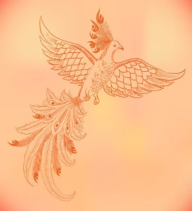 Vector Firebird Hand Drawn Illustration, Phoenix Drawing Premium 397x435 Vector Firebird Hand Drawn Illustration, Phoenix Drawing Premium