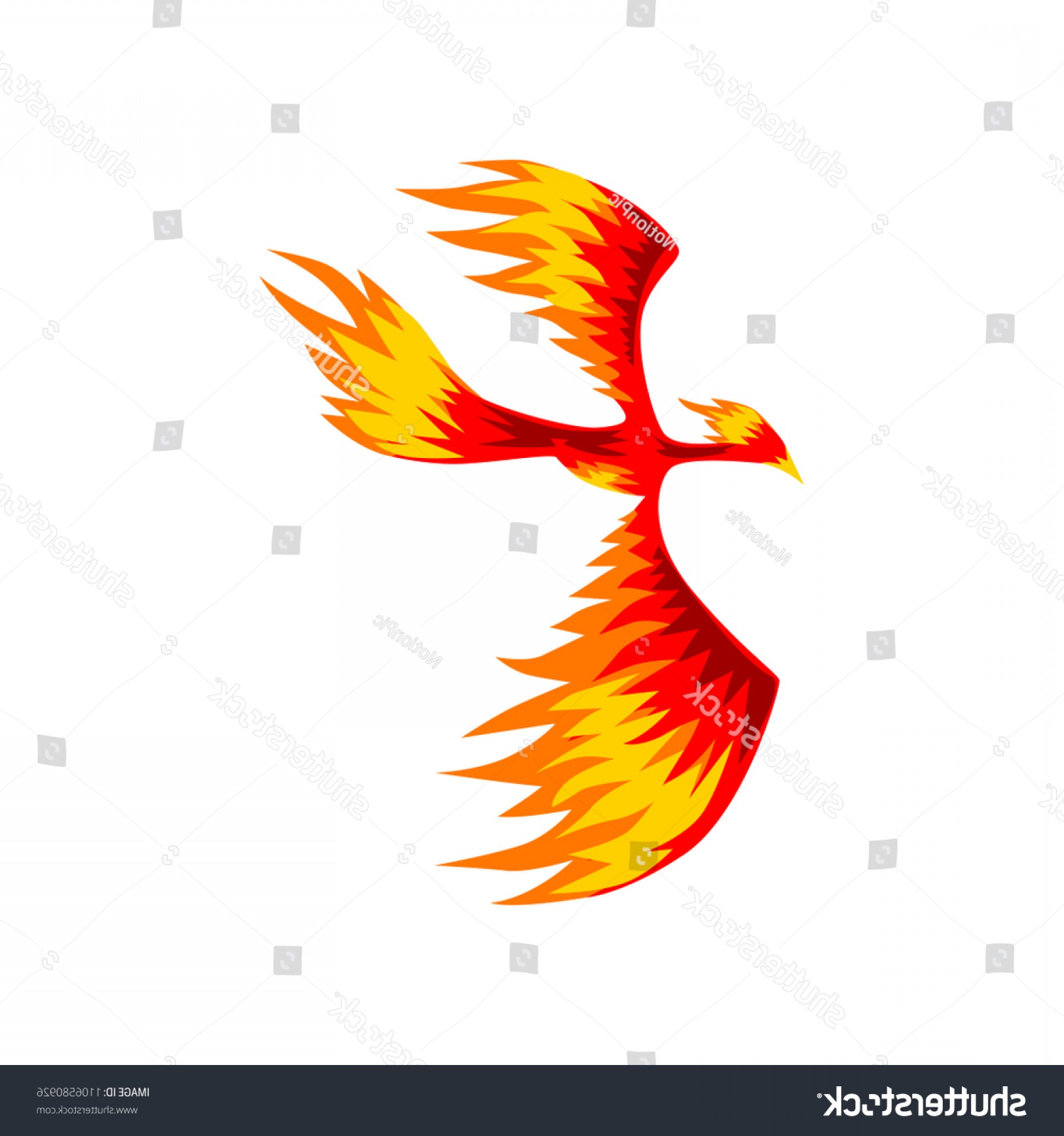 Firebird Vector Transparent Background Handandbeak 1800x1920 Firebird Vector Transparent Background Handandbeak