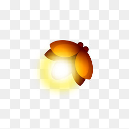 260x261 Firefly Images Clipart