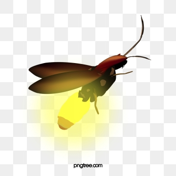 360x360 Firefly Png, Vector, And Clipart With Transparent Background