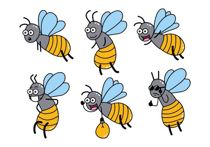 700x490 Firefly Vector