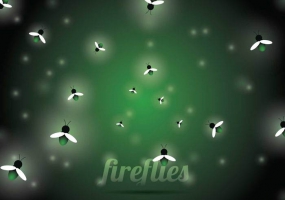 285x200 Firefly Free Vector Graphic Art Free Download